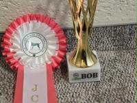 23236153-e3ef-40bf-b9e6-3c3c02da9ff9.jpeg