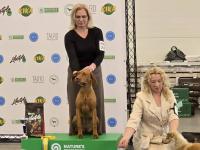 672681425_1465876885333290_7191737903377282533_n.jpg