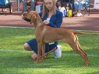 img-20230805-wa0000.jpg