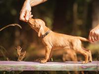 img_0530fb_0.jpg