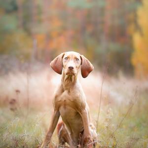 img_6652fb.jpg